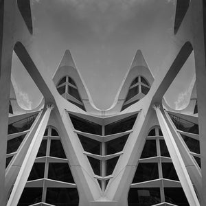 Black and White Photography Fine Art Calatrava_Study_1 Opera House Valencia Spain