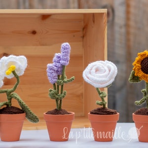 Peut inclure: Quatre arrangements floraux en crochet dans des pots en terre cuite. Les fleurs sont une orchidée blanche, une lavande violette, une rose blanche et un tournesol jaune.