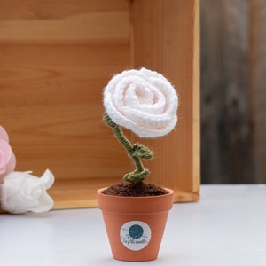 May include: A white crocheted rose in a terracotta pot with the text "La petite maille" on the side.