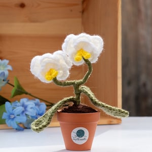 Orchid in a pot crochet pattern