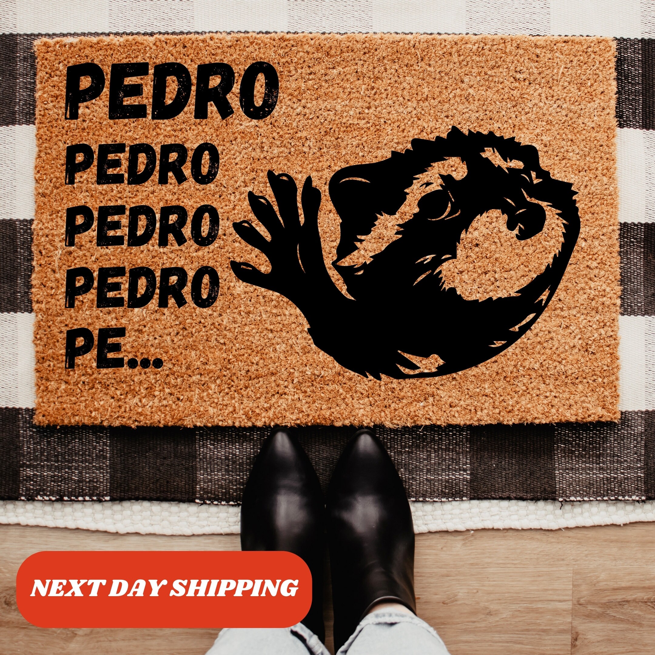 Space Raccoon Doormat - Trash Panda Maximalist Welcome Mat Folk Art and Porch Decor