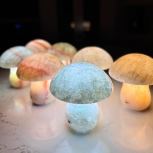 May include: A collection of mushroom-shaped lamps crafted from translucent stone, each featuring a rounded cap and a cylindrical base. The lamps emit a soft, internal glow in various shades, including pale blue, warm orange, and cream, with visible natural veining.