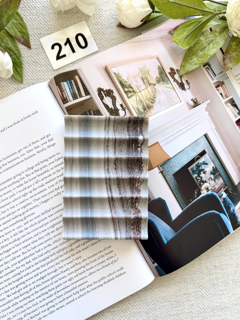 May include: A rectangular, gray and brown striped soap dish with a ridged design. The dish is resting on an open book with text and a white card with the number 210.