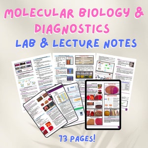 分子生物学と診断の実験と講義ノート医療技術ノート MedTech Transes School 学習ガイドの印刷可能な要約