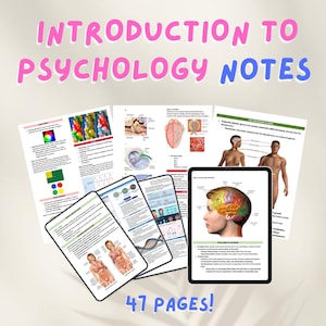 May include: A set of 47 pages of psychology notes featuring colourful illustrations and diagrams. The notes cover topics such as the endocrine system, the brain, and the senses. The notes are organised into sections with headings and subheadings.