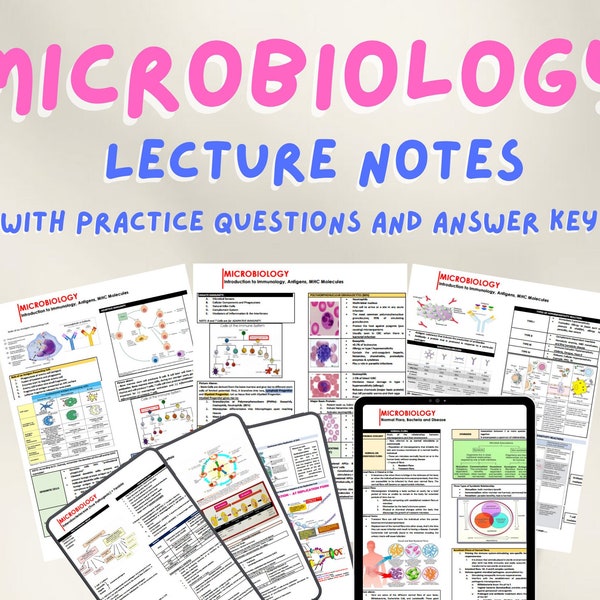 Anatomy visual data 8