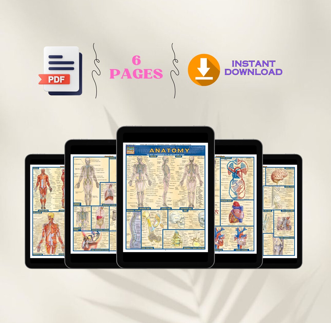 Human Anatomy Quick Study Guide Chart Nursing School Notes Printable 