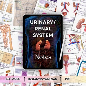 May include: A digital tablet displaying a detailed anatomical illustration of the urinary/renal system, with the text "URINARY/ RENAL SYSTEM Notes." Surrounding the tablet are various medical diagrams and notes, including the text "134 PAGES" and "INSTANT DOWNLOAD PDF."