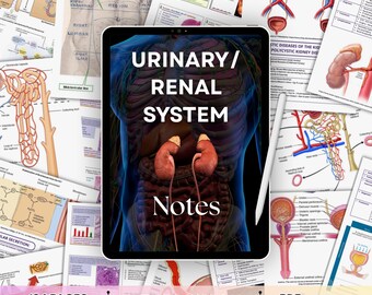 Apuntes sobre el sistema urinario/renal / Guía de estudio de anatomía, fisiología y patología para estudiantes de enfermería y medicina / PDF imprimible