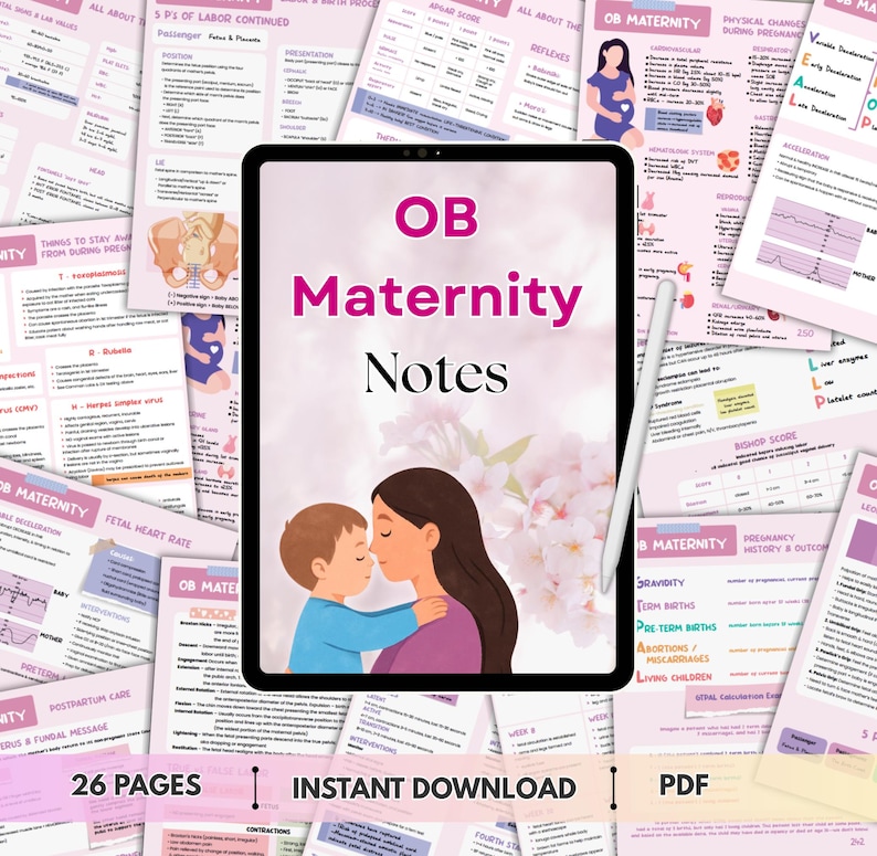 OB Maternity Notes | Obstetrics Notes | Comprehensive Study Guide for ...