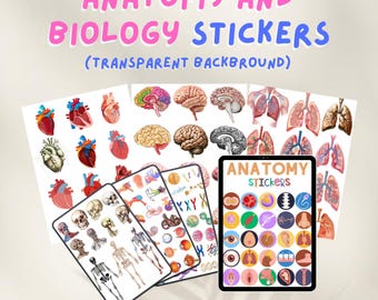 Anatomy & Biology Stickers | Anatomy Stickers | GoodNotes Stickers | Pre-Cropped Human Body Stickers | Digital Stickers