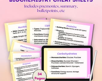 Può includere: Schede di biochimica con 34 pagine di appunti di studio su acidi nucleici, lipidi, proteine, fotosintesi, metabolismo, enzimi e carboidrati. Le schede presentano un design sfumato giallo chiaro e rosa con testo di colore viola.