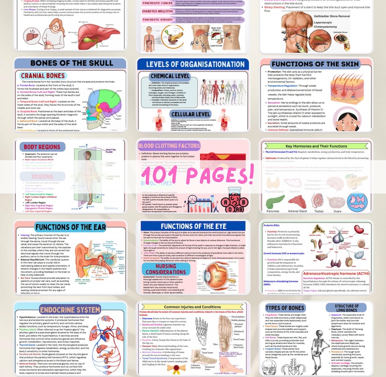 May include: A colorful chart with illustrations of the human body, including the bones of the skull, the levels of organization, the functions of the skin, the functions of the ear, the functions of the eye, the endocrine system, common injuries and conditions, types of bones, and the structure of long bones. The chart also includes text about the different systems of the body.