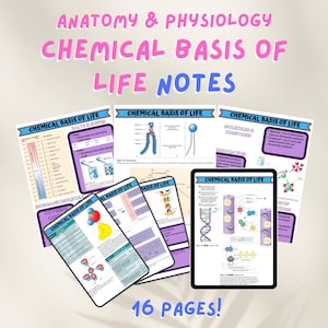 May include: A set of 16 pages of colorful notes on the chemical basis of life. The notes include diagrams and text about molecules, compounds, and other topics related to biology.