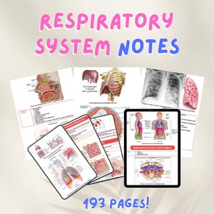 Respiratory System Notes: Anatomy, Physiology, Pathology (Digital Download)