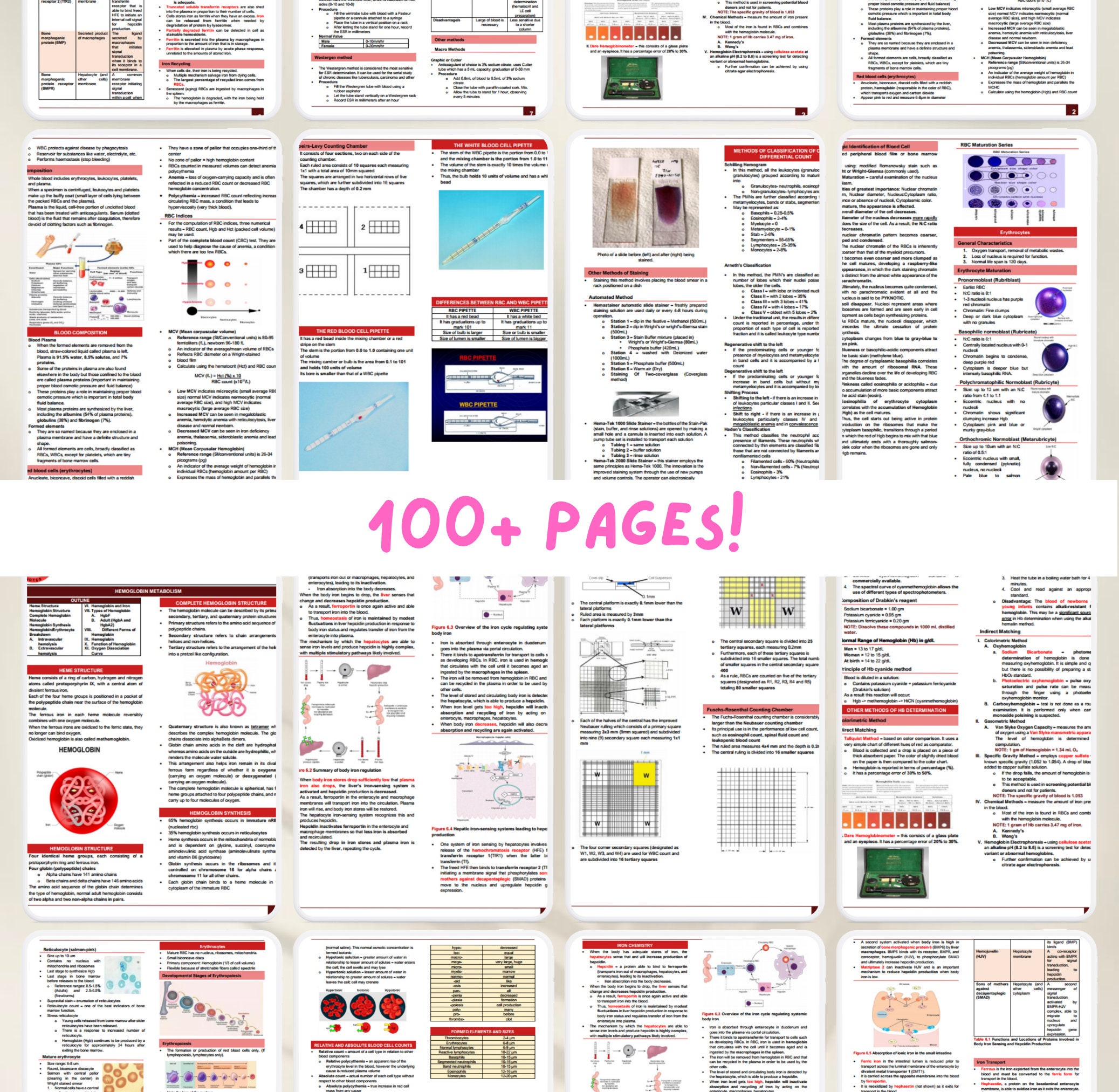 Hematology 1 Lab & Lecture Notes With Flashcards | Medtech Study Guide ...