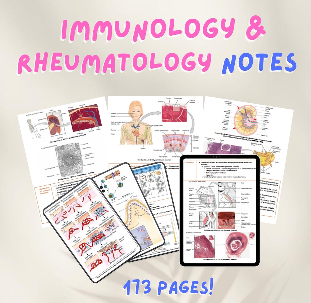 Immunology and Rheumatology Notes - Comprehensive Study Guide for ...