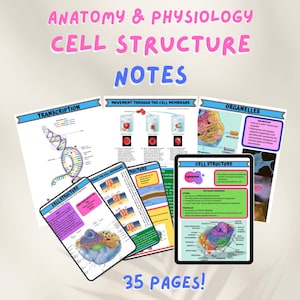 May include: A set of 35 colorful printable pages with diagrams and text about cell structure, including transcription, movement through the cell membrane, and organelles. The pages are designed for anatomy and physiology students.