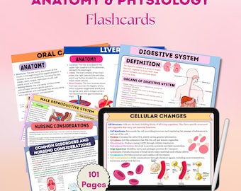 May include: A set of Anatomy & Physiology flashcards featuring 101 pages of educational content. The cards display diagrams and text covering topics like the digestive system, cellular changes, and reproductive systems, shown on a tablet screen.