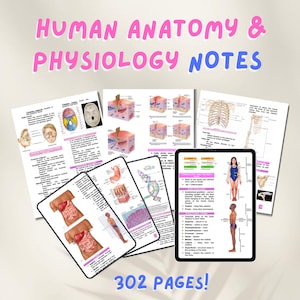 May include: A collection of human anatomy and physiology notes, with the title in pink and blue. The notes include diagrams of the human body, organs, and cells. A tablet displays a diagram of the human body. The text reads "302 pages!"