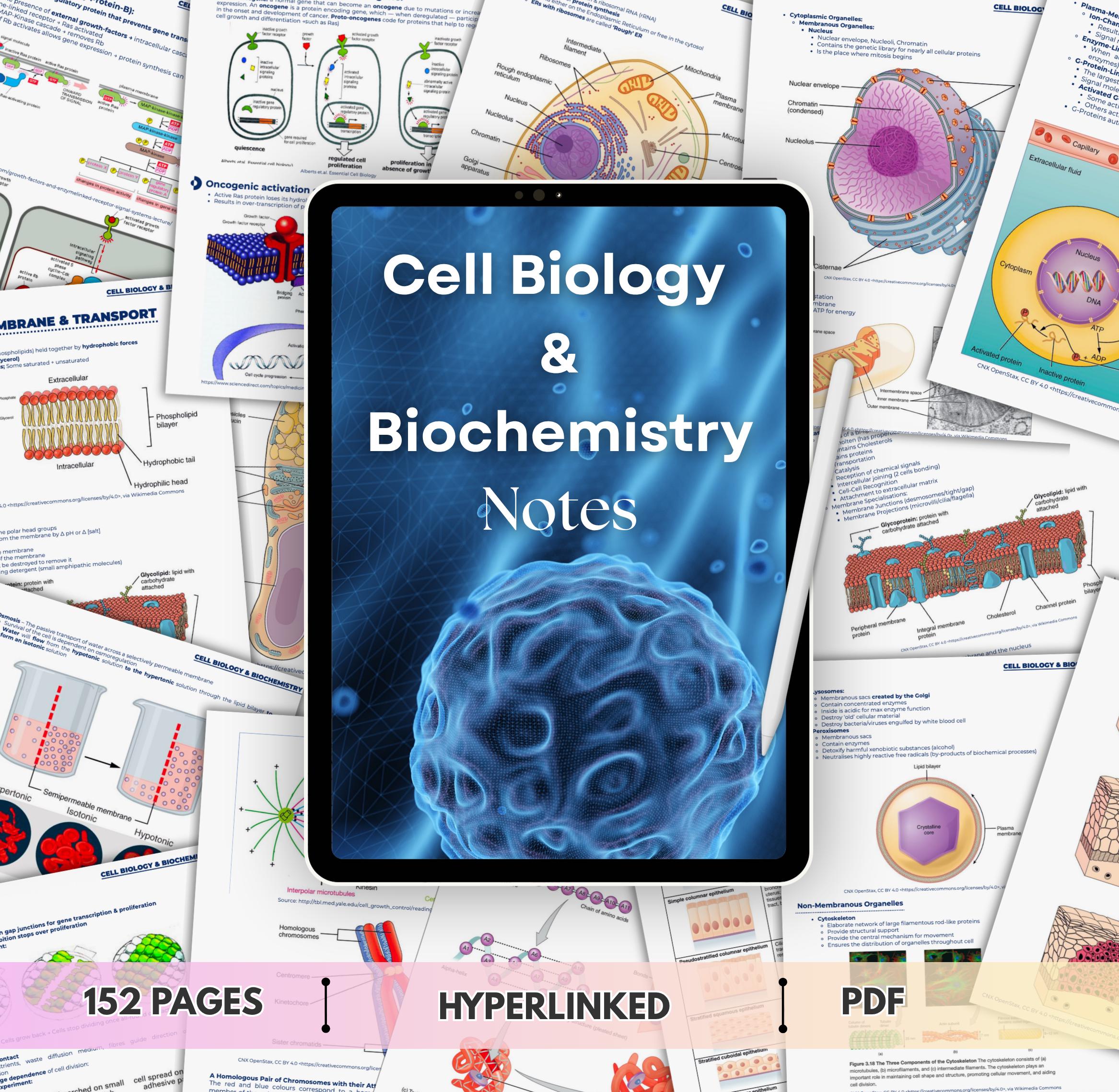 Biology 12th Edition 専用商品となります。 Campbell Biology 12th Edition - Etsy