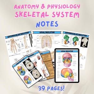 Skeletal System Study Guide: Anatomy & Physiology Notes (PDF Download)