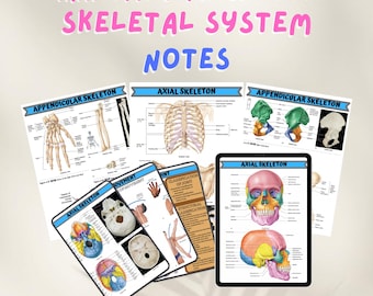 Anatomy & Physiology Skeletal System Nursing School Visual Aid Study Guide Notes Printable NCLEX Reviewer Material Instant Download PDF