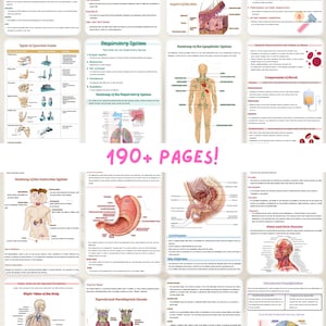 May include: A collage of colorful anatomical illustrations, including the respiratory system, lymphatic system, endocrine system, and digestive system. The images are accompanied by text descriptions and diagrams. The text at the bottom of the collage reads "190+ PAGES!"