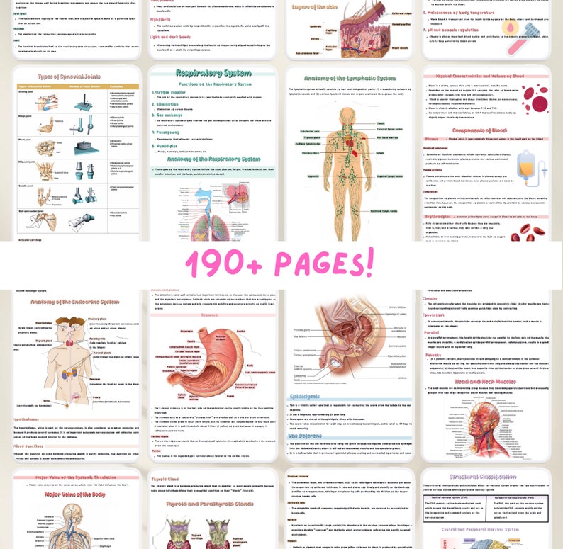 May include: A collage of colorful anatomical illustrations, including the respiratory system, lymphatic system, endocrine system, and digestive system. The images are accompanied by text descriptions and diagrams. The text at the bottom of the collage reads "190+ PAGES!"