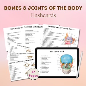 Puede incluir: Tarjetas didácticas tituladas "HUESOS Y ARTICULACIONES DEL CUERPO" con ilustraciones anatómicas detalladas. El conjunto incluye 57 páginas de información, que se muestran en una tableta con un lápiz óptico. Las tarjetas cubren varios aspectos de la anatomía esquelética humana.