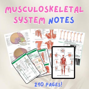 Musculoskeletal System Notes of Anatomy, Physiology, Pathophysiology, and Pathology A & P Nursing Notes Study Guide NCLEX Medical Notes