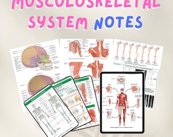 Musculoskeletal System Notes | Anatomy, Physiology & Pathophysiology Study Guide for Nursing and Med Students | Printable PDF