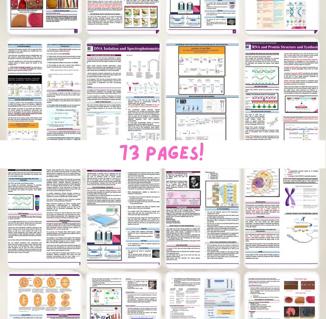 Molecular Biology & Diagnostics Lab and Lecture Notes | Medtech Study ...