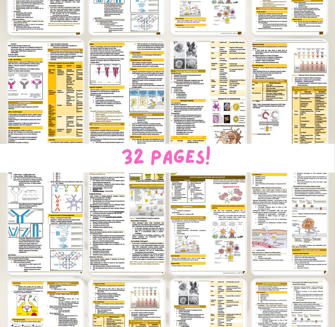 Immunology & Serology Lecture Notes | Medtech Study Guide | Printable ...