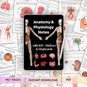Può includere: Un tablet digitale che mostra Anatomy & Physiology Notes with 100+ Stickers & Flashcards su sfondo nero, con due scheletri anatomici umani e varie illustrazioni di organi, circondato da molteplici pagine di studio medico stampate.