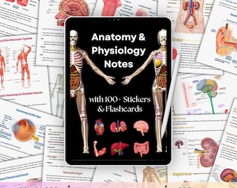 Apuntes de Anatomía y Fisiología / Guía de estudio para estudiantes de Enfermería y Medicina / PDF imprimible (Descarga digital)