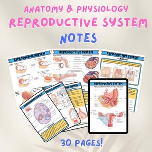 Notes sur l&#39;anatomie et la physiologie de l&#39;appareil reproducteur : guide d&#39;étude pour l&#39;école d&#39;infirmières (téléchargement numérique)