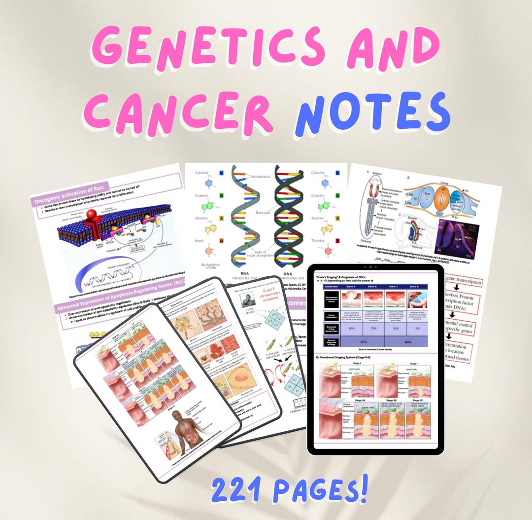 Genetics & Cancer Notes | Comprehensive Study Guide for Nursing and Med ...