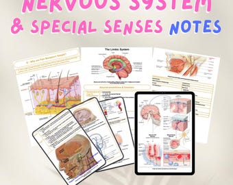 Nervous System and Special Senses Notes of Anatomy, Physiology, Pathophysiology, and Pathology A & P Nursing Notes Study Guide NCLEX
