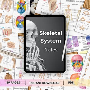 May include: A digital tablet displaying the text Skeletal System Notes on a dark gray background, featuring a white human skull and hand illustration. A white stylus rests on the screen, surrounded by various anatomical study pages showing bones.