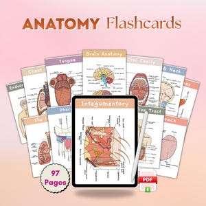 Op de afbeelding: Anatomie flashcards met illustraties van het menselijk lichaam, waaronder de hersenen, tong en het integumentaire systeem. Een tablet toont een diagram van het integumentaire systeem. De tekst "ANATOMY Flashcards" en "97 Pages" is inbegrepen.