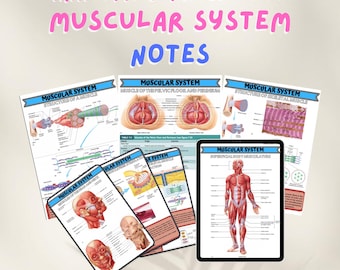 Notes sur le système musculaire | Guide d'étude de l'anatomie et de la physiologie pour les étudiants en sciences infirmières et en médecine | PDF imprimable