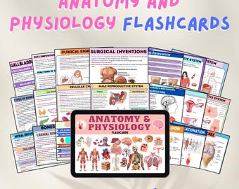 Flashcards sur l'anatomie et la physiologie | Guide d'étude des sciences infirmières pour les étudiants en sciences infirmières et en médecine | PDF imprimable