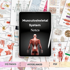 Könnte beinhalten: Ein digitales Tablet mit dem Text Musculoskeletal System Notes und einer Abbildung des menschlichen Muskelsystems von hinten. Das Tablet ist von verschiedenen anatomischen Diagrammen umgeben und enthält einen weißen Eingabestift.