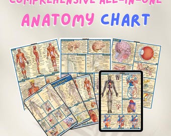 Human Anatomy Chart | Quick Study Guide for Nursing & Med Students | Printable PDF