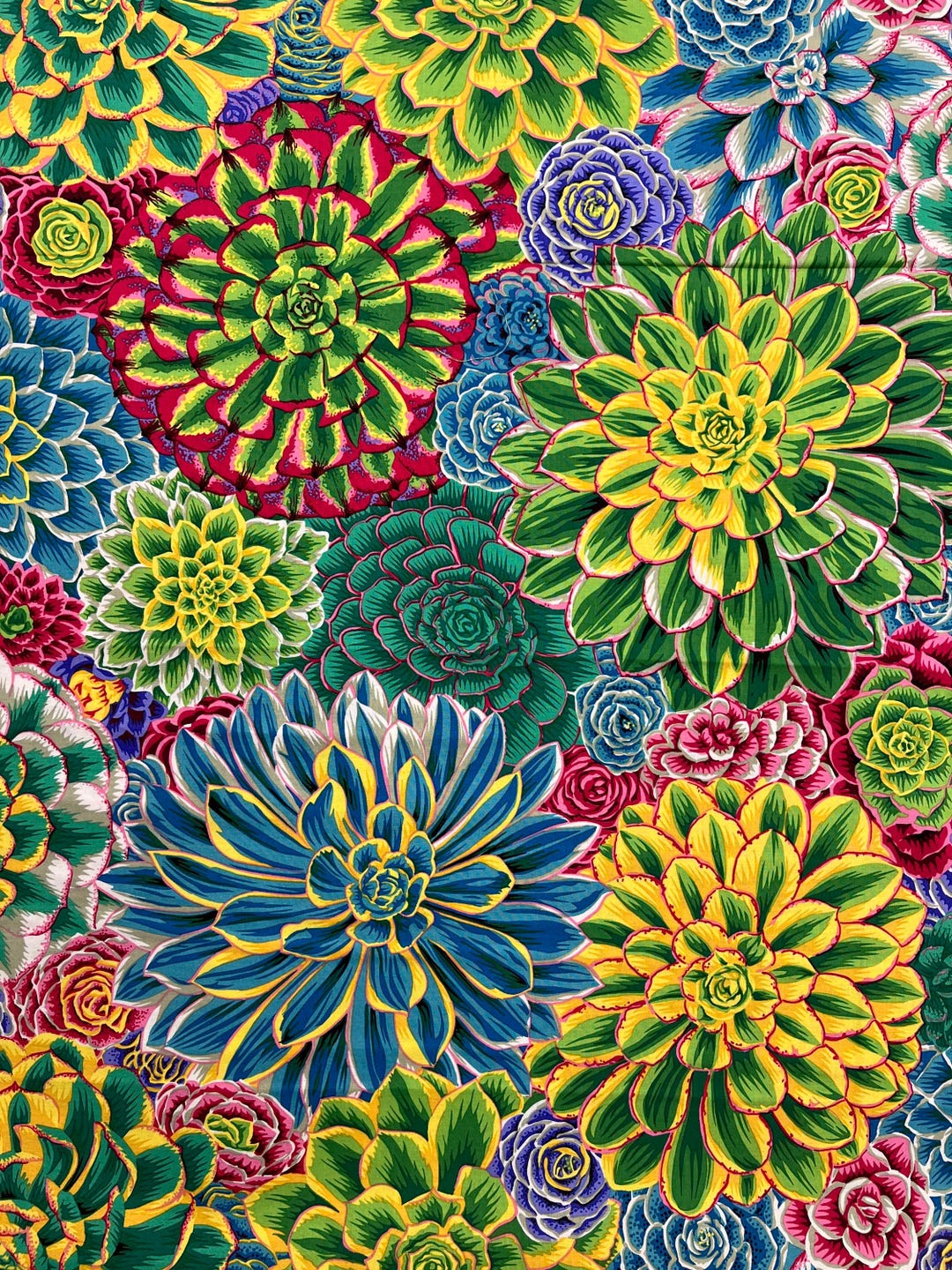 Kaffe Fassett House Leeks Natural Retired OOP - Etsy