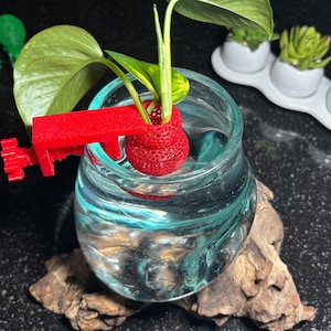 PropiCup Aquarium Pflanzenhalter | Clip-On Root Starter & Vermehrungsbecher für Aquarien | Mesh-Design für optimalen Wasserfluss
