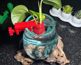 Clip-On Aquarium Plant Holder | Mesh Root Starter Propagation Cup