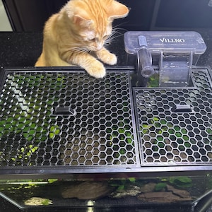 Top-down view of a fish tank with a black 3D-printed honeycomb mesh aquarium lid cover installed, with an orange cat curiously interacting with the tank. The mesh lid provides airflow and light penetration while preventing fish from jumping and pets from accessing the tank. Features two built-in feeding ports and fits around a hang-on-back filter. A stylish and protective solution for aquarium owners with cats or other curious pets.