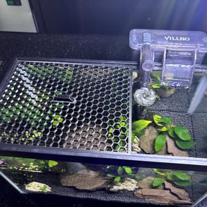 May include: A rectangular aquarium with a black frame, featuring a honeycomb-patterned lid and a filter labeled "VILLNO." The tank is filled with water, aquatic plants, rocks, and a dark substrate. The filter is positioned on the right side of the tank.